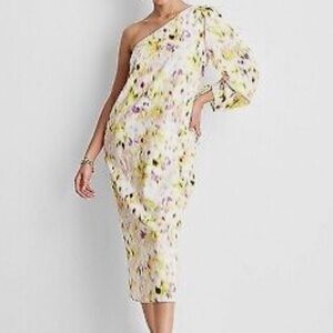 NWT Future Collective One Shoulder Dress
